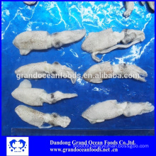 frozen baby squid 3-5cm